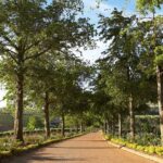 Wine Tasting Private Tour in Cape Winelands - Haute Cabriere and Fine Food Pairings