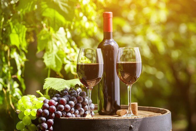 Wine Tasting Tour - Final Thoughts