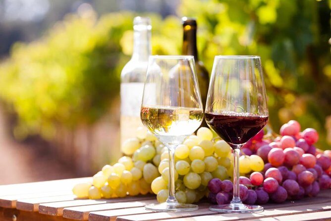 Wine Tasting Tour in Georgia's Cradle of Wine - Day 3: From Signagi to Kvareli via Bakurtsikhe and Khareba