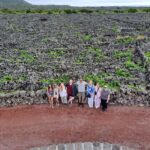 Wine Tour and Tasting with a local Winemaker at Pico Island - The Sum Up: Who Will Love This Tour?