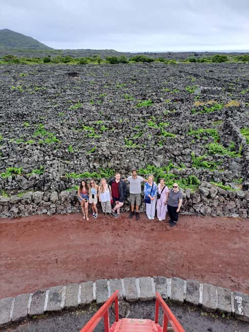 Wine Tour and Tasting with a local Winemaker at Pico Island - The Sum Up: Who Will Love This Tour?