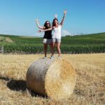 Wine Tour Ebike Experience - What Makes This Tour Stand Out