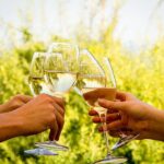 Wine Tour: Paarl, Franschhoek & Stellenbosch incl 3 wineries - FAQs About the Cape Winelands Tour