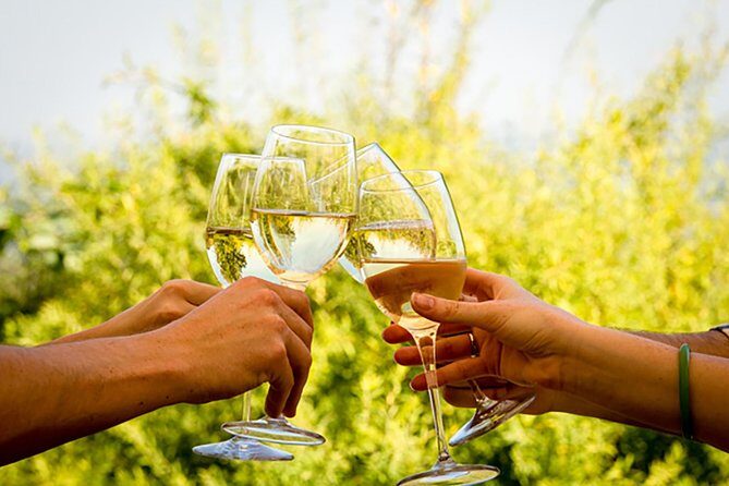 Wine Tour: Paarl, Franschhoek & Stellenbosch incl 3 wineries - FAQs About the Cape Winelands Tour