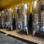 Wine Tour & Tasting of 6 Wines  Le Macchie, near Rome - The Sum Up: A Genuine Taste of Lazio’s Heart