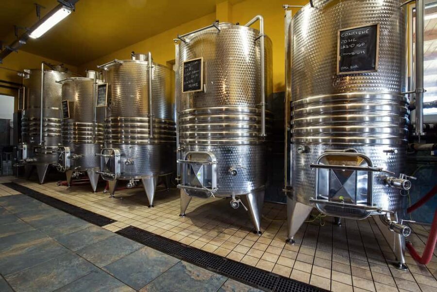 Wine Tour & Tasting of 6 Wines  Le Macchie, near Rome - The Sum Up: A Genuine Taste of Lazio’s Heart