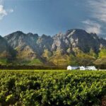 Winelands Full Day Tour - Practical Considerations