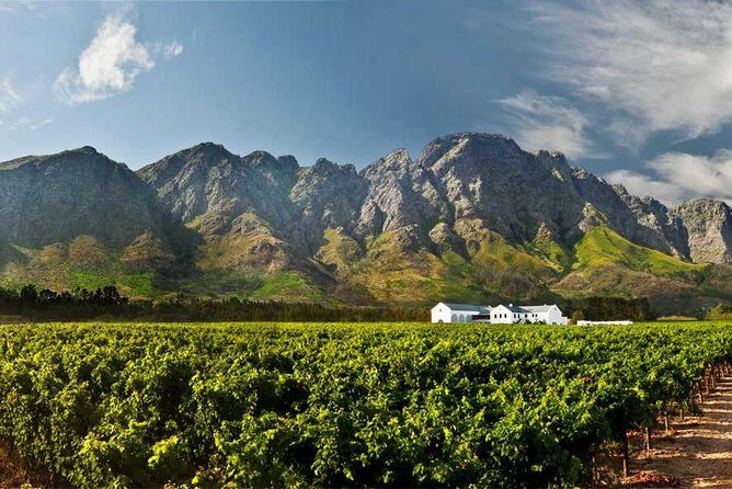 Winelands Full Day Tour - Practical Considerations