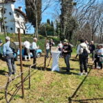 Winery tasting: tour with tasting on the estate. - What Makes This Tour Stand Out?
