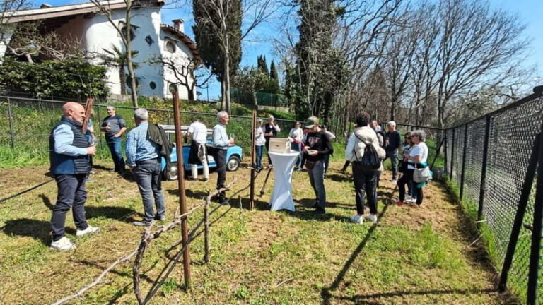 Winery tasting: tour with tasting on the estate. - What Makes This Tour Stand Out?