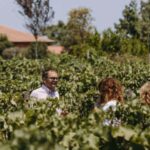Winery Visit & Tasting on the Volcanic Slopes near Catania - Why You Should Consider This Tour