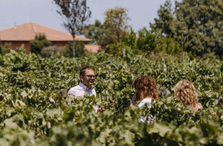 Winery Visit & Tasting on the Volcanic Slopes near Catania - Why You Should Consider This Tour