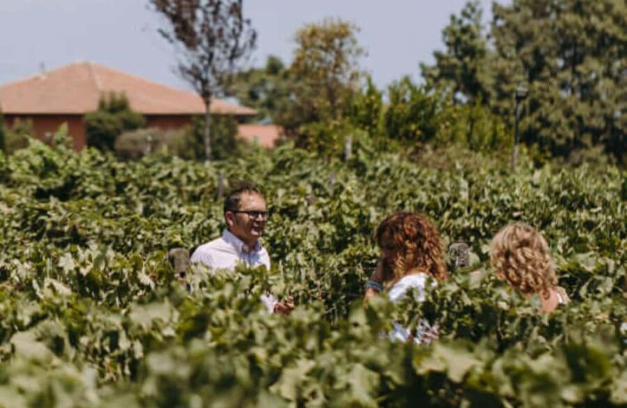 Winery Visit & Tasting on the Volcanic Slopes near Catania - Why You Should Consider This Tour
