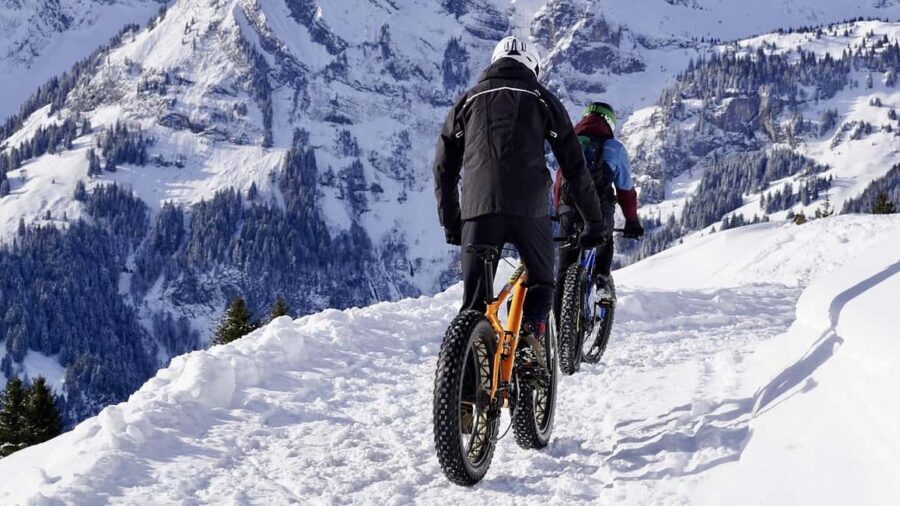 Winter E-Bike Tour| A Royal Coastal Adventure - The Sum Up: Who Is This Tour For?