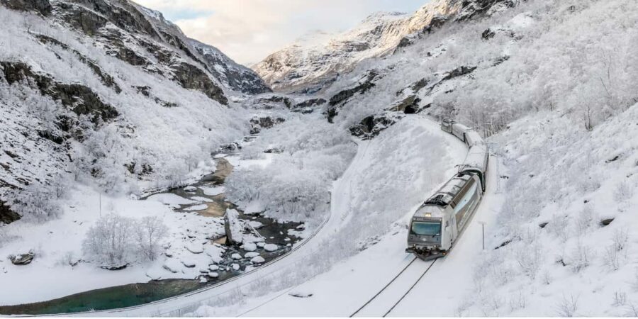 Winter Tour Viking Village, Nærøyfjord Cruise & Flåm Railway - What Makes This Tour Stand Out?