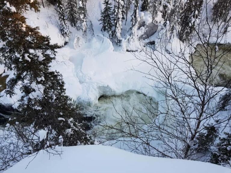 Winter Walk in Oulanka National Park - Detailed Breakdown of the Tour