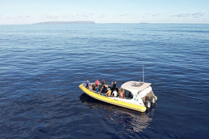 Winter Whale Watching Adventure in Kauai - An Introduction to the Kauai Winter Whale Watching Tour