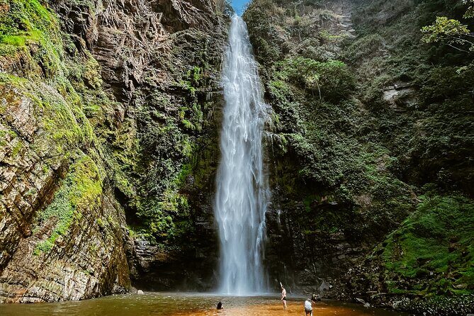 Wli Waterfall and Tafi Atome Monkey Sanctuary (Day Visit) - Real Traveler Insights
