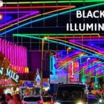 Wolverhampton/Walsall: Blackpool Illuminations Coach Trip - The Social and Cultural Atmosphere