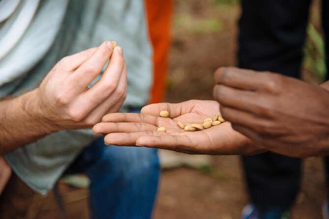 Women-led Coffee Farm Trek - The Experience of a Lifetime