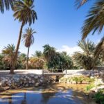 Wonders of Tabuk Tour 3 Days 2 Nights Tour - Practical Details: What to Expect