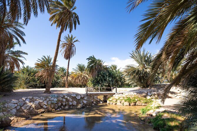 Wonders of Tabuk Tour 3 Days 2 Nights Tour - Practical Details: What to Expect