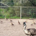 World of Birds, Kirstenbosch and Constantia Wine Private Day Tour - Price and Value