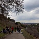 Wuerzburg: Wine mountain rally with wine tasting and group dynamics - The Practical Side: What to Expect and Consider