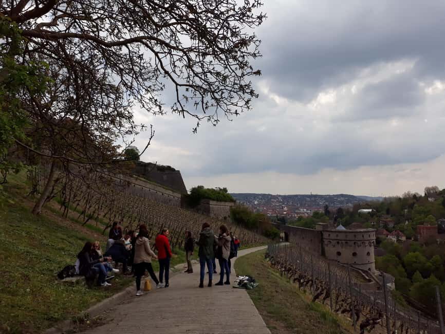 Wuerzburg: Wine mountain rally with wine tasting and group dynamics - The Practical Side: What to Expect and Consider
