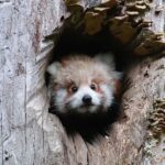 Wuppertal: Admission to the Wuppertal Green Zoo - Final Thoughts