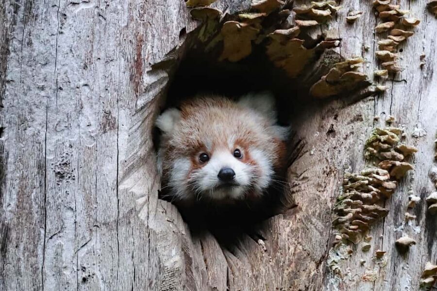 Wuppertal: Admission to the Wuppertal Green Zoo - Final Thoughts