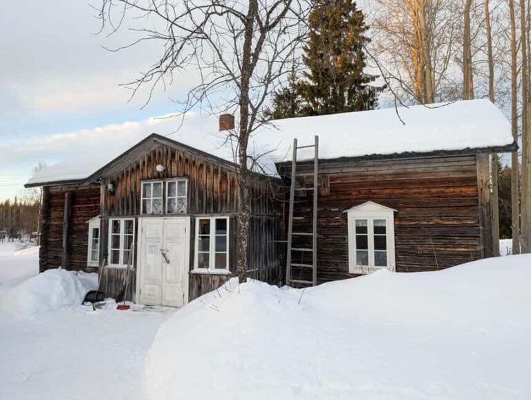 Ylläs: Särestöniemi Museum Tour with Art Workshop - Why Choose This Tour?