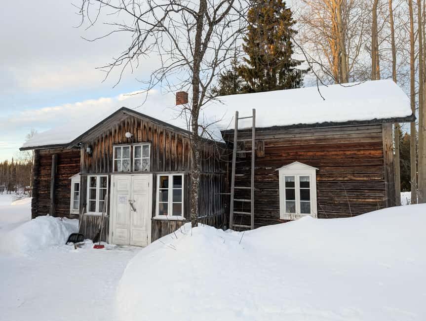 Ylläs: Särestöniemi Museum Tour with Art Workshop - Why Choose This Tour?