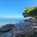Zadar: 3-Islands Snorkeling, Beach, and Sightseeing Tour - Itinerary Breakdown: What to Expect