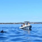 Zadar: Dugi Otok Island - 2x Snorkeling & Sandy Beach - 7 hr - Detailed Experience Breakdown