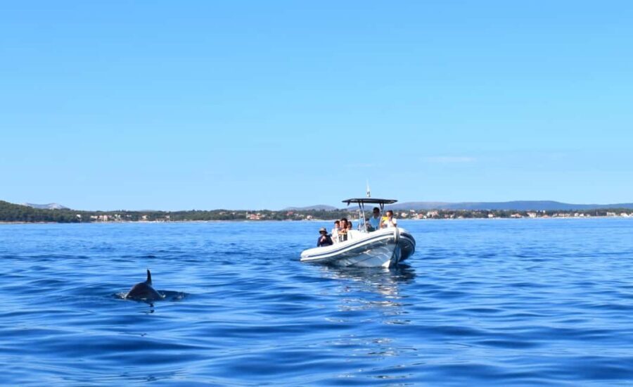 Zadar: Dugi Otok Island - 2x Snorkeling & Sandy Beach - 7 hr - Detailed Experience Breakdown
