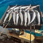 Zadar: Fishing Boat Trip with Lunch and Swimming Included - What’s Included and What Costs Extra?