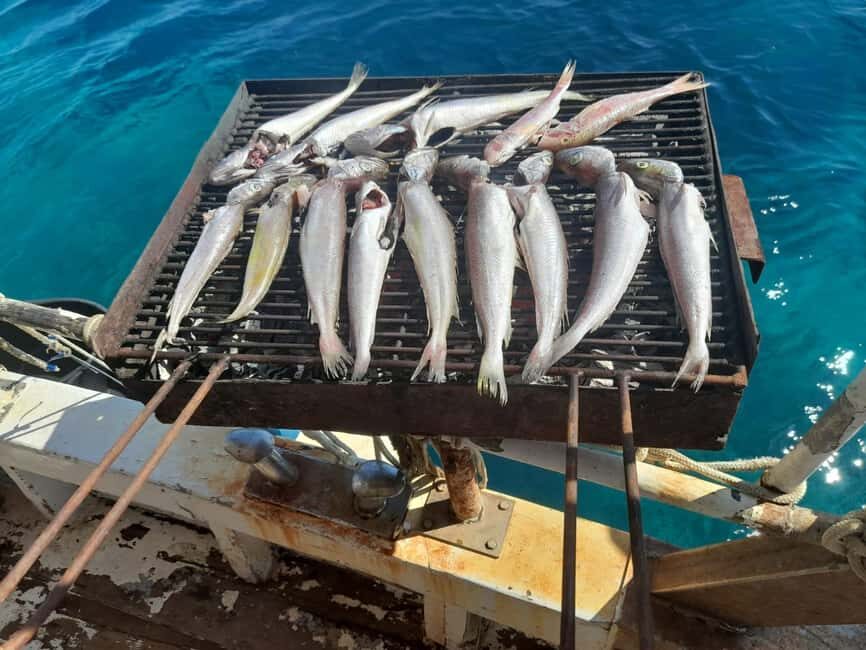 Zadar: Fishing Boat Trip with Lunch and Swimming Included - What’s Included and What Costs Extra?