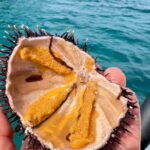 Zadar: Sakarun beach and sunken ship Michelle - Practical Details and What You Get