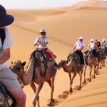 Zagora 2 Day Desert Safari and Luxury Camp From Marrakech - The Value of This Tour