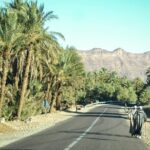 Zagora Desert and Draa Valley Day Trip From Ouarzazate - Authentic Experiences and Genuine Value