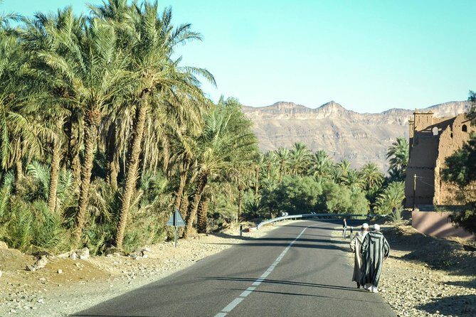 Zagora Desert and Draa Valley Day Trip From Ouarzazate - Authentic Experiences and Genuine Value