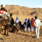 Zagora Desert Highlights: Guided 2-Day Tour from Marrakech - Who Is This Tour Best For?