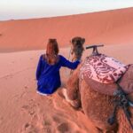 Zagora Desert Tour 1 night&2 days from Marrakech - A Closer Look at the Itinerary