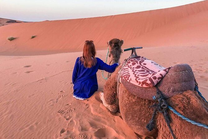 Zagora Desert Tour 1 night&2 days from Marrakech - A Closer Look at the Itinerary