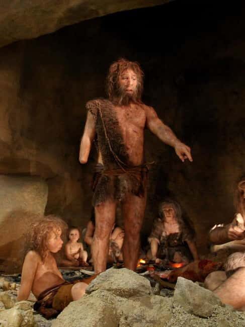 Zagreb: Krapina Neanderthal Museum & Trakoan Castle Tour - In-Depth Breakdown of the Tour