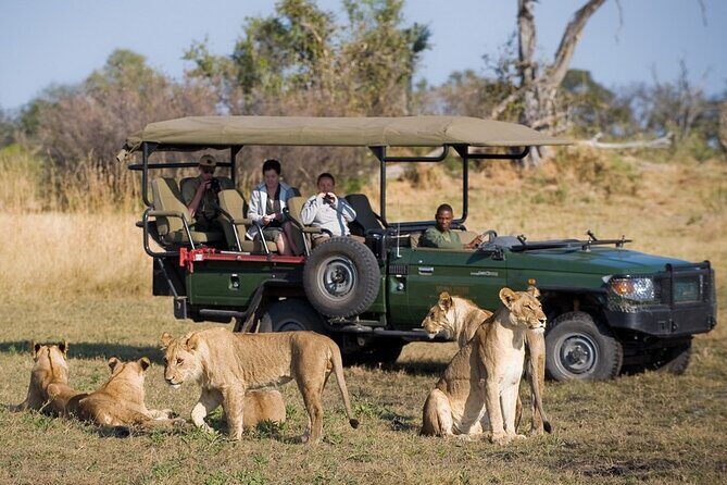 Zambezi National Park AM or PM Game Drive - The Itinerary Breakdown