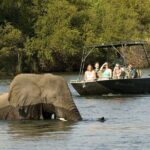 Zambezi River Safari - Practical Aspects of the Tour