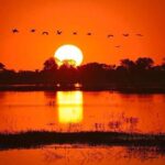 Zambezi River Sunset Cruise - The Sum Up