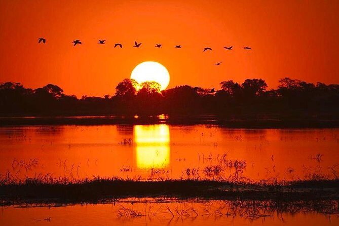 Zambezi River Sunset Cruise - The Sum Up